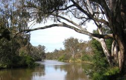 A View Of The Goulburn River