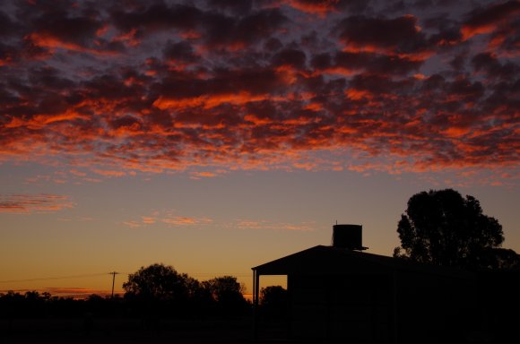 Outback Sunset Over St George Qld