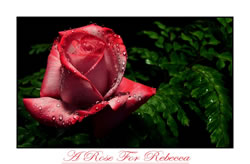 A Rose For Rebecca