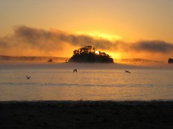 Morning Mist Rising On The Bay