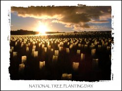 National Tree Planting Day