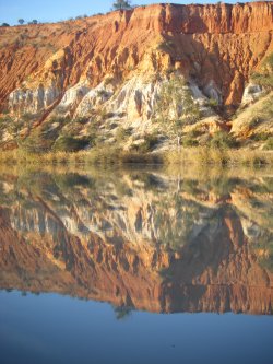 Reflections Of The Murray