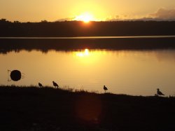 Twilight - Wallaga Lake