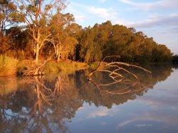 Reflections On The Murray River