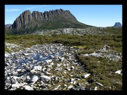 Cradle Mountain - Cradle Mountain, Tasmania