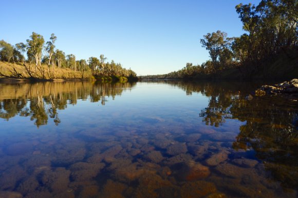Upper Fitzroy River