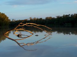 Reflections On The Mighty Murray River