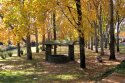 Autumn Colours