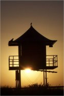 Lifeguard