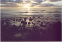 Ballina Sunrise