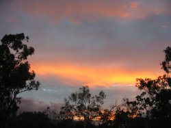 Sunset In Townsville