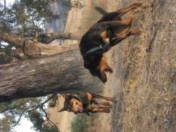 cooling off - Avenel, Victoria