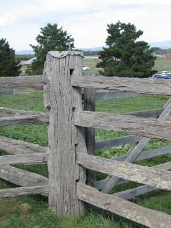 The Old Stockyard Fence
