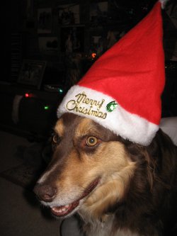 Toby  Christmas''