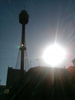 Sydney Tower In The Sun