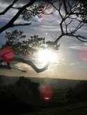 Dreams Take Place During The Day