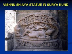 Vishu Shaiya 