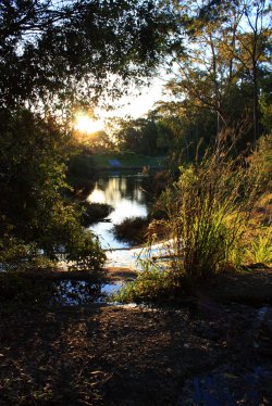 Sunset Catchment - Garden Suburb, NSW