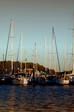 Boats In Dusk