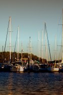 boats in dusk