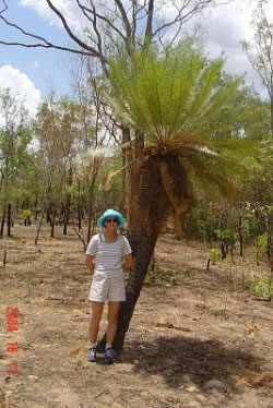 Living Fossil Cycad.