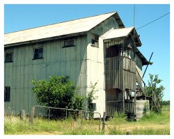 Derelict Building