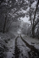 Trails through the Victorian High Country
