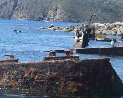 Sunken rest  - Near Tasman Island Tas.