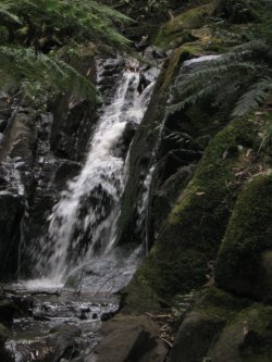 The Beauty Of Olinda Falls! 