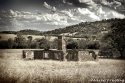 Homestead Ruins