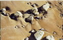Sandy Rocks