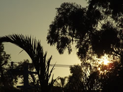 serenity - parmelia w.a.