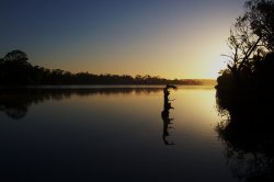 Sunrise On The Murray River