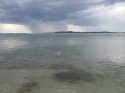 Approaching Storm