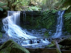 Tasmanian Waterfalls
