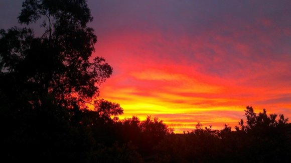 Australian Summer Sunset