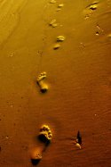 Foot Print in The Sand