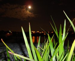 Moon Over The Sleeping City