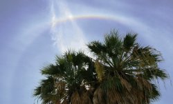 Solar halo rainbow - Swan River foreshore Perth city