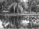 Reflections