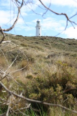 Rotnest Lighthouse
