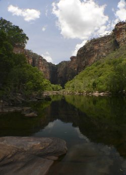 Billabong Bliss in Kakadu - Kakadu National Park