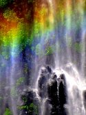 Rainbow At Moran Fals