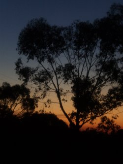 Typical Aussie Sunset