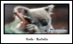 Electronic Postcard Competition