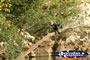 Fitzroy Crossing Geike Gorge Bird . . . CLICK TO ENLARGE