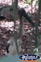 Bird Breakfast . . . CLICK TO ENLARGE