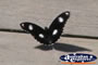 Black and White Spotted Butterfly . . . CLICK TO ENLARGE