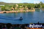 Dolphin . . . CLICK TO ENLARGE
