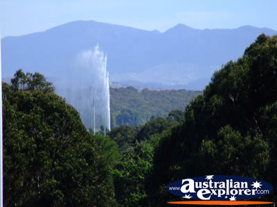 Canberra Fountain Scene . . . CLICK TO VIEW ALL CANBERRA POSTCARDS